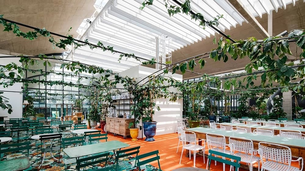 Mezzanine Amazonia