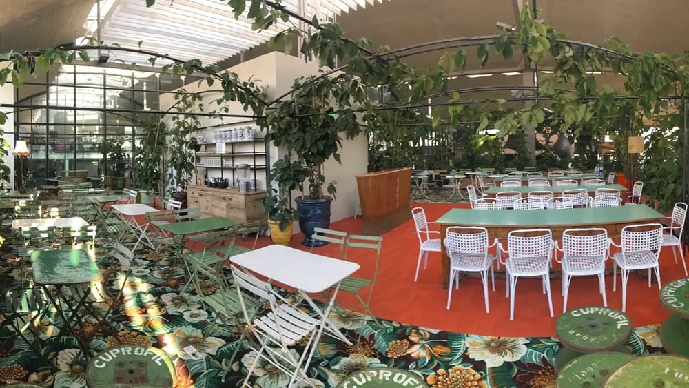 Mezzanine Amazonia